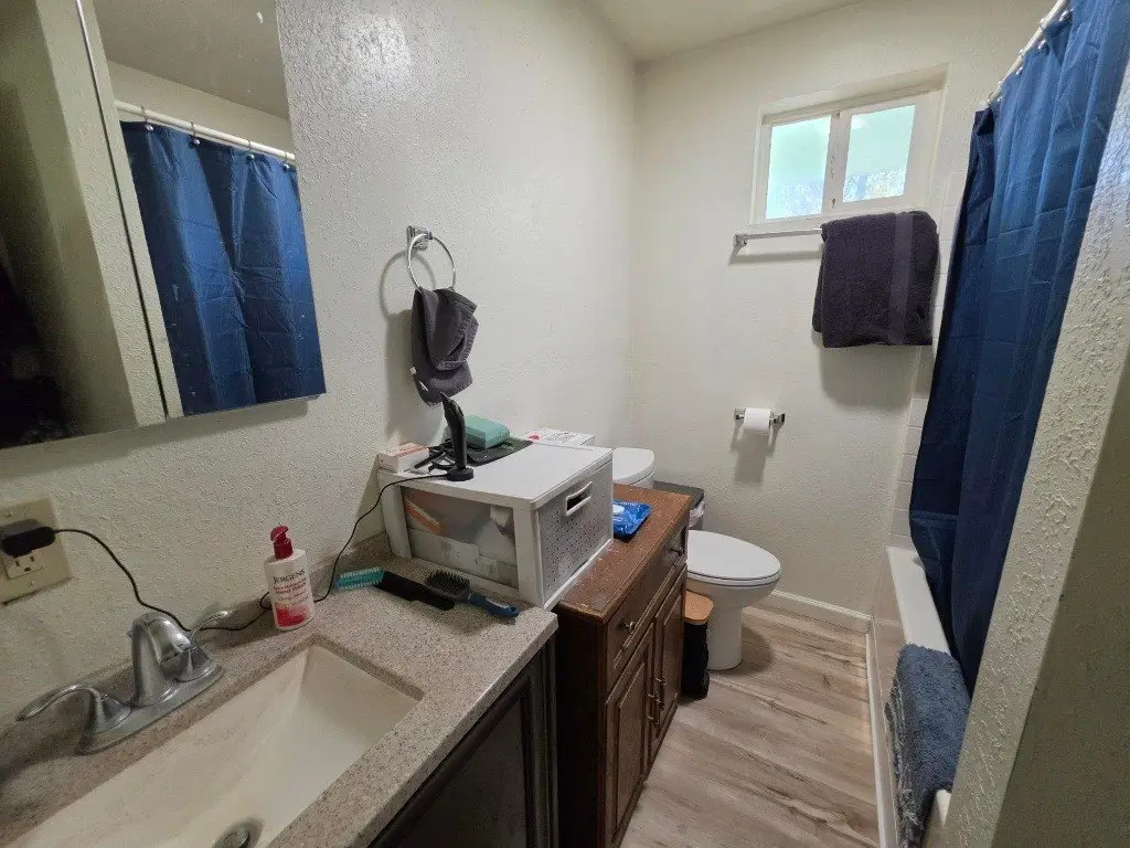 Picture 21