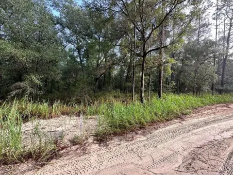 Land Parcel in Ocala, FL