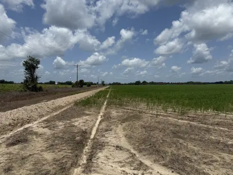 597 Acres of Farmland in Mangham