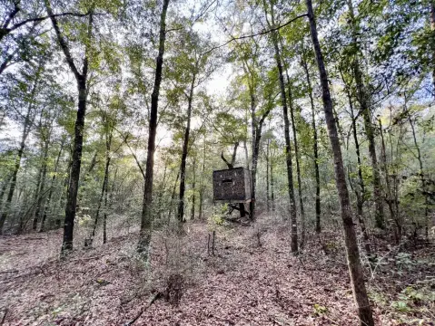 Highway Frontage Land For Sale