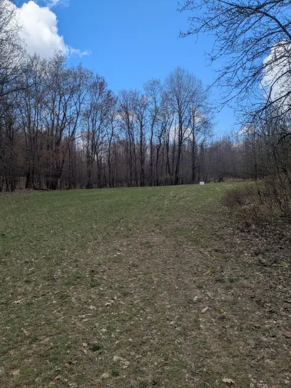 Picture 29