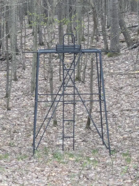 Picture 17