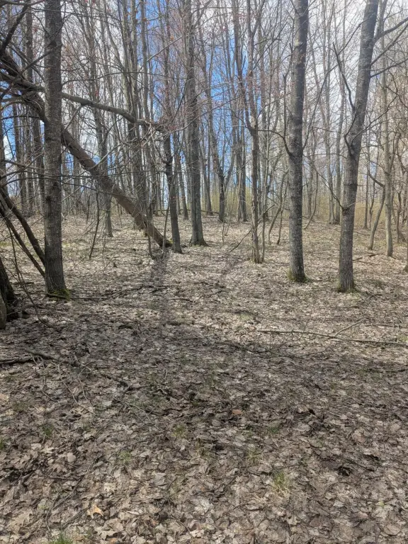 Picture 24
