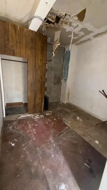 Picture 20