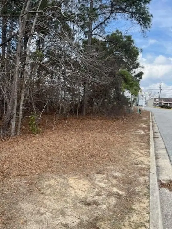 Picture 2