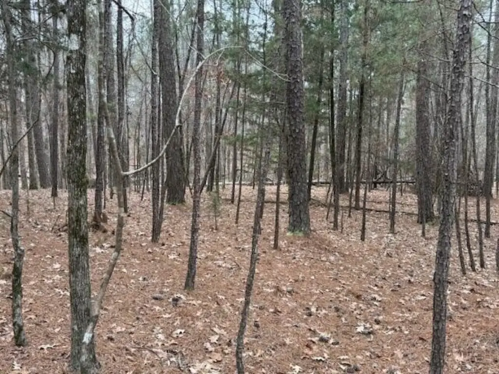 Picture 4