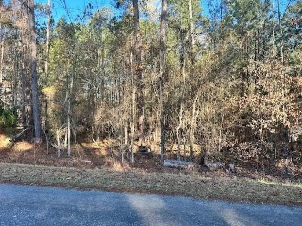 Picture 2