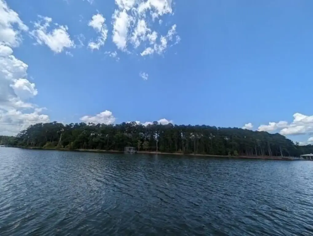 Picture 4