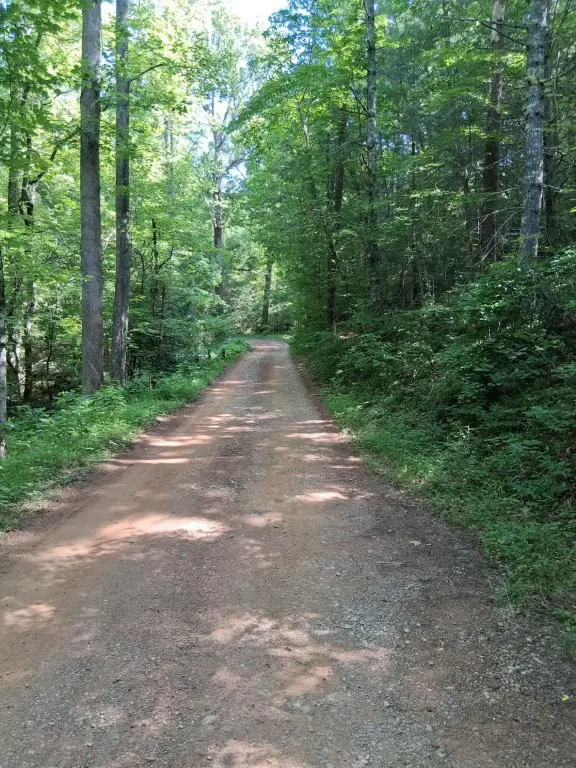 Picture 17