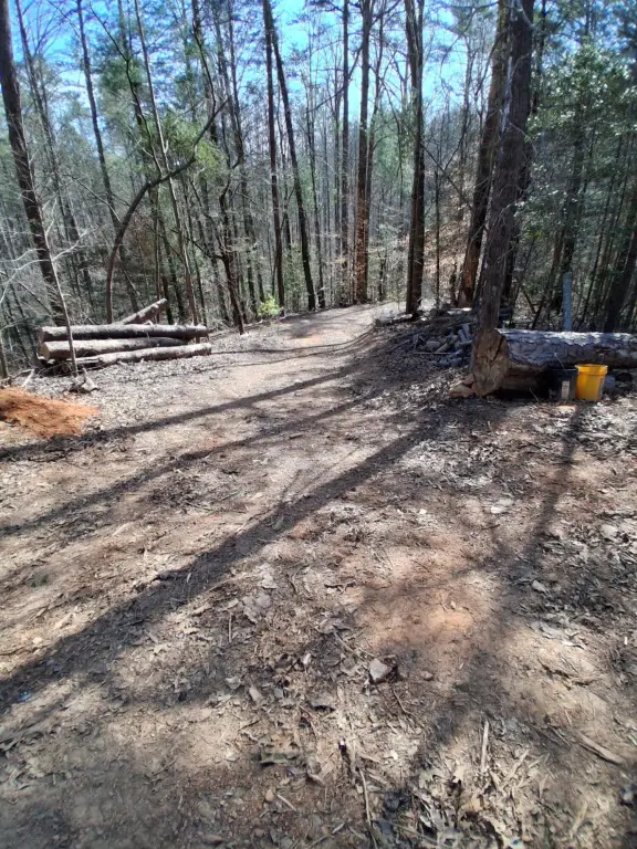 Picture 6