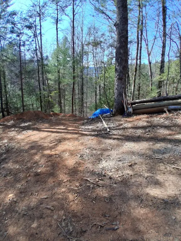 Picture 2