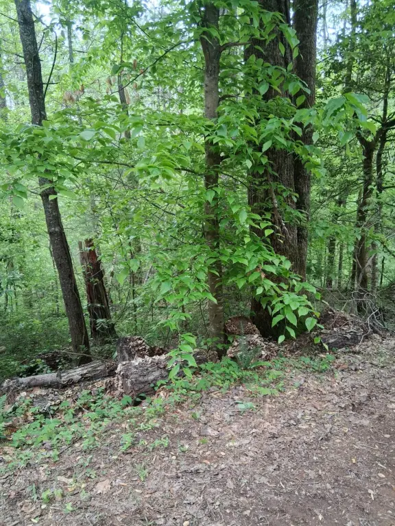 Picture 13