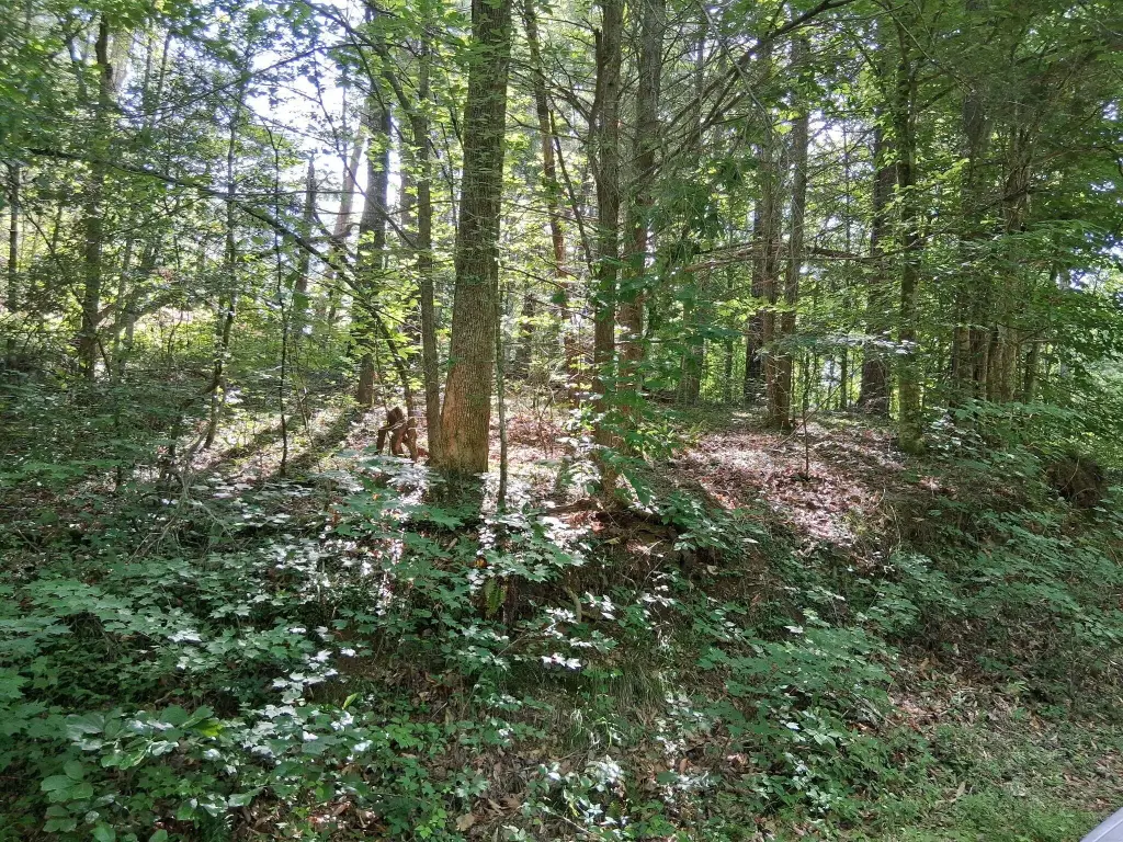 Picture 9