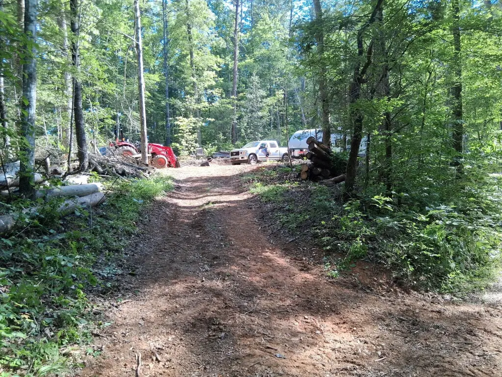 Picture 15