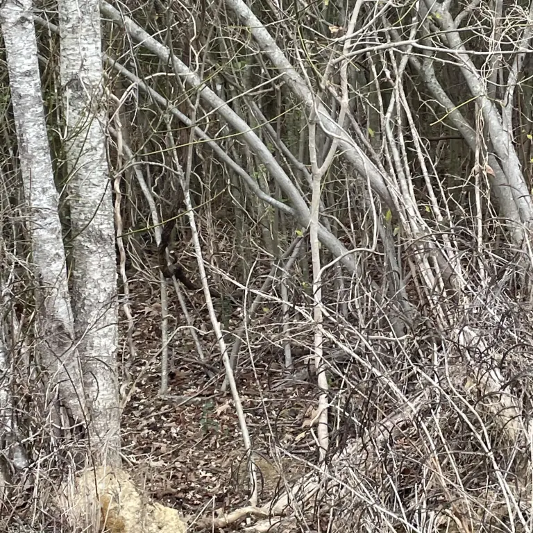 Picture 4
