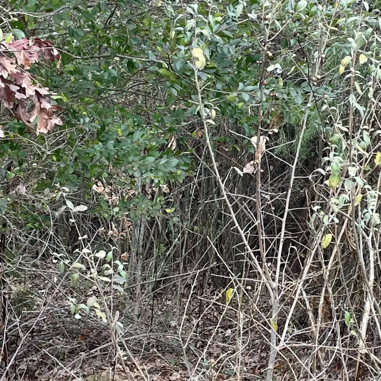 Picture 2