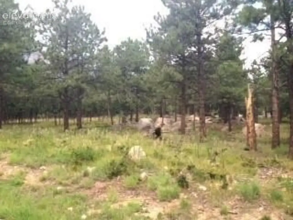 Picture 4