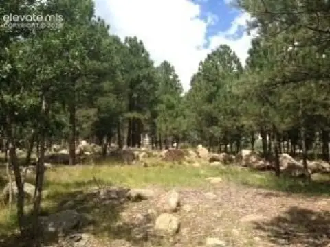 Broadmoor Resort Community Land