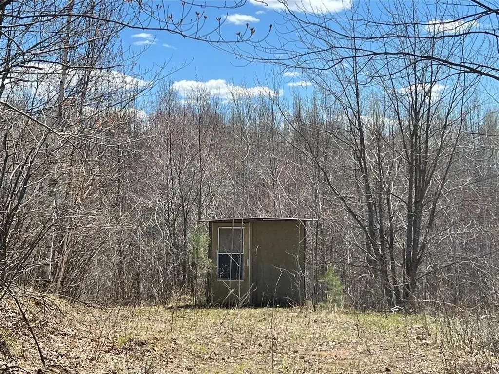 Picture 23