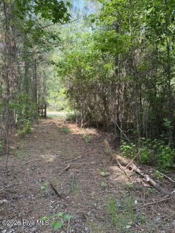 Picture 4