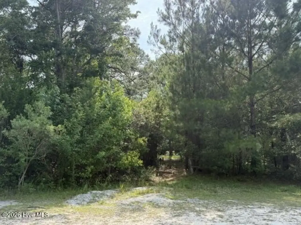 Picture 8