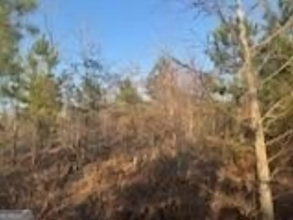 Picture 21