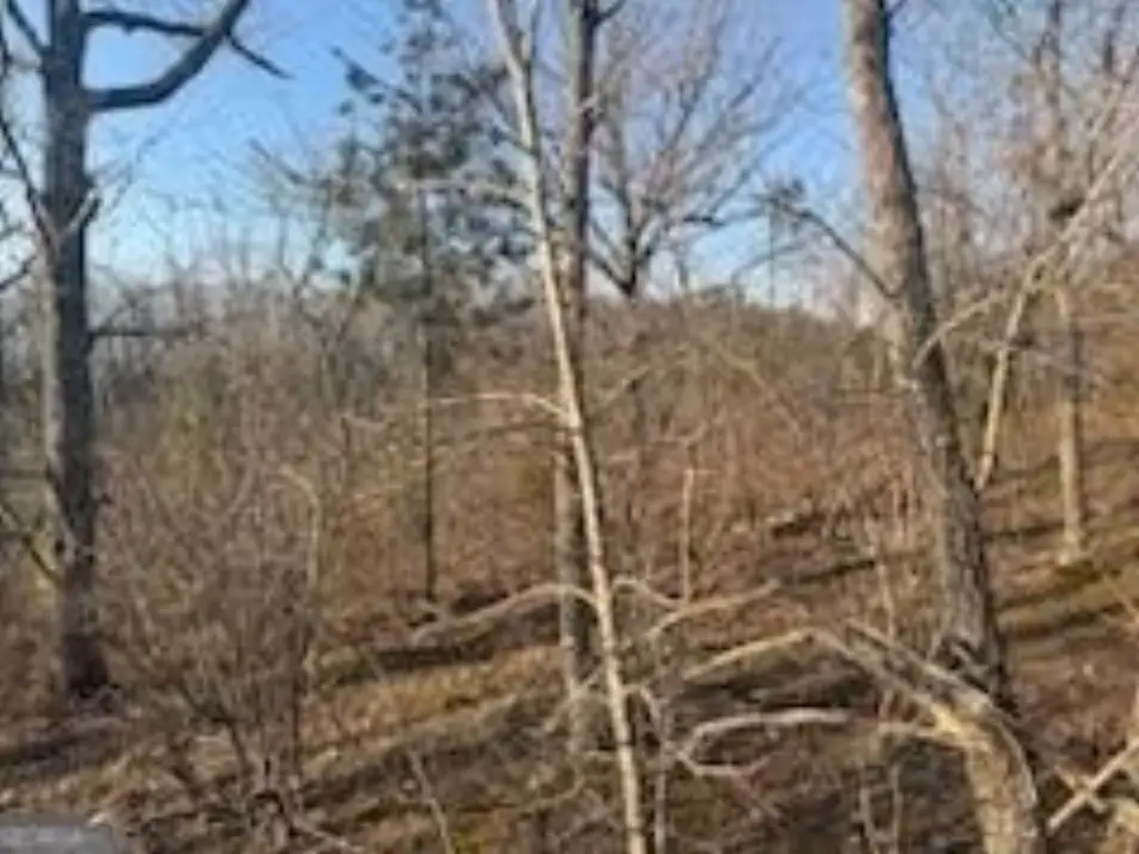 Picture 28
