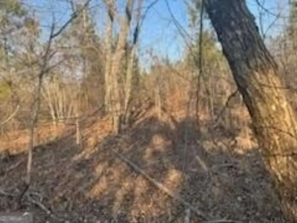 Picture 26