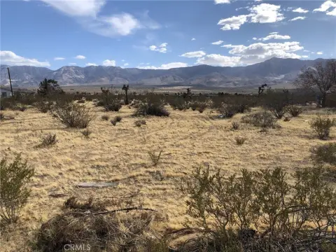 Lucerne Valley Land Parcel