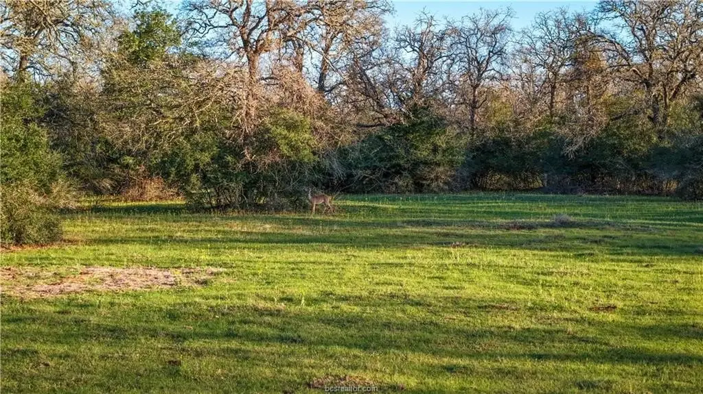 Picture 22