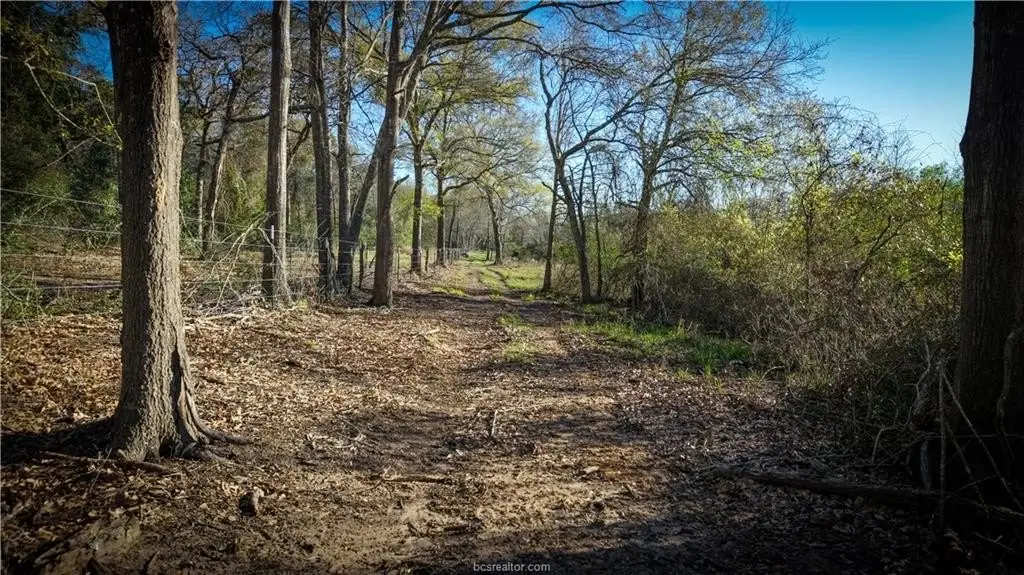 Picture 38