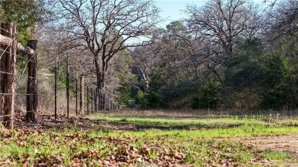 Picture 40