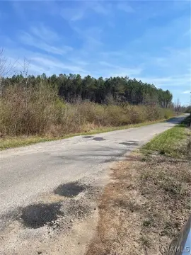 Land with Sipsey River Frontage