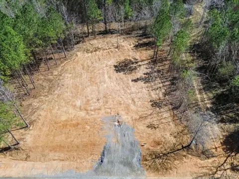 Ready-to-Build Land in Northport, AL
