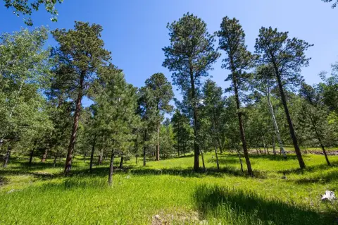 Secluded Lot Near Black Hills