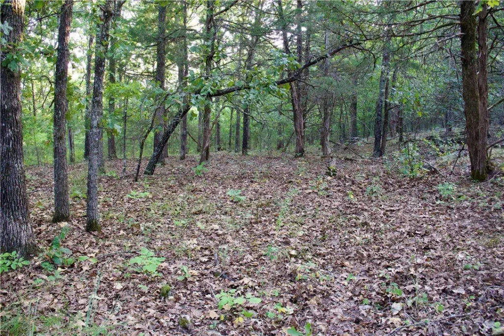 Picture 38