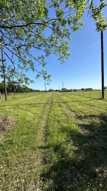 Picture 3