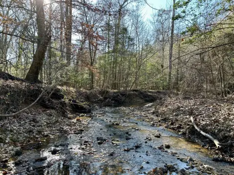 Toxey, AL Vacant Land