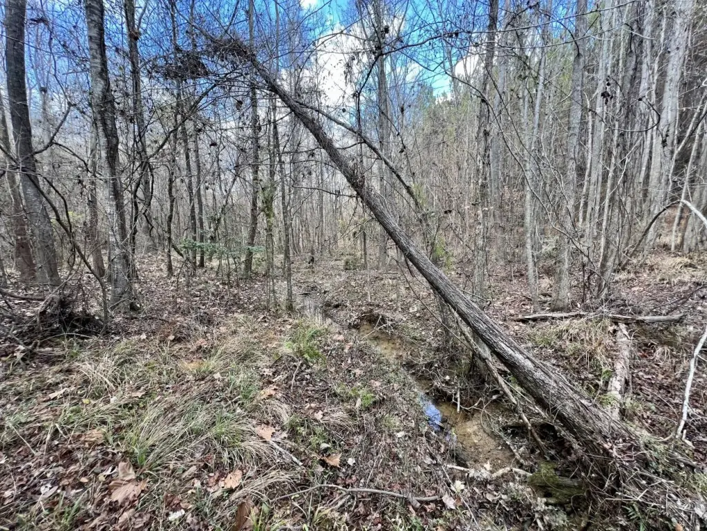 Picture 38