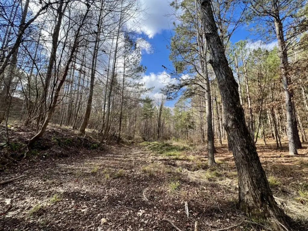 Picture 19