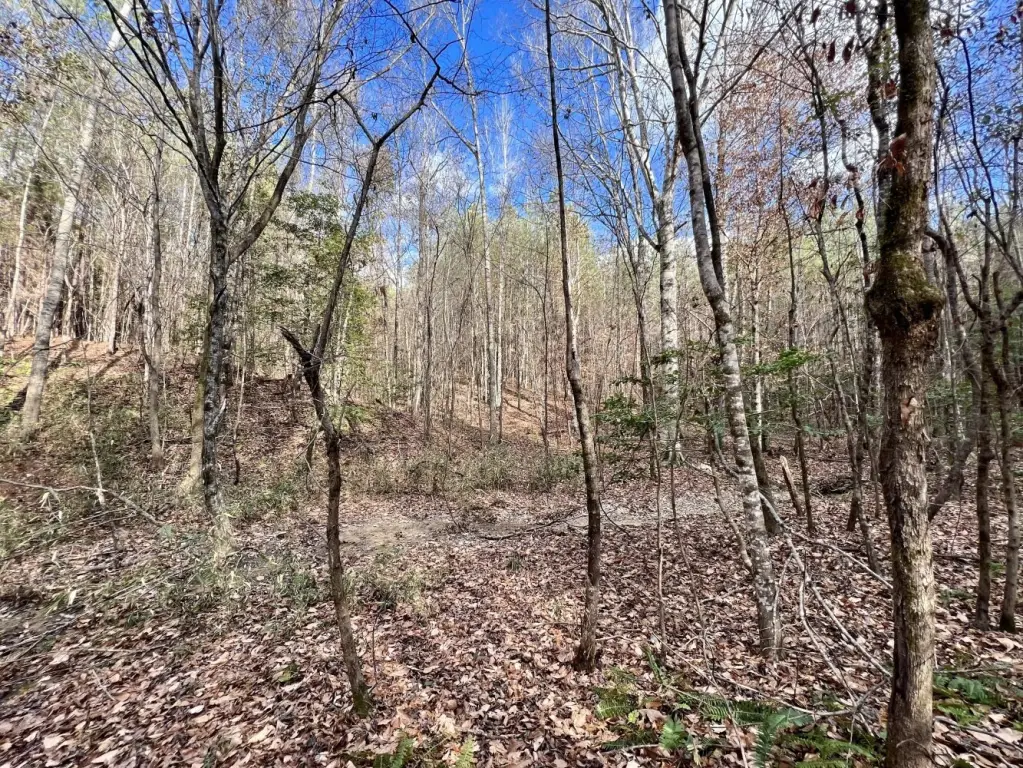 Picture 30