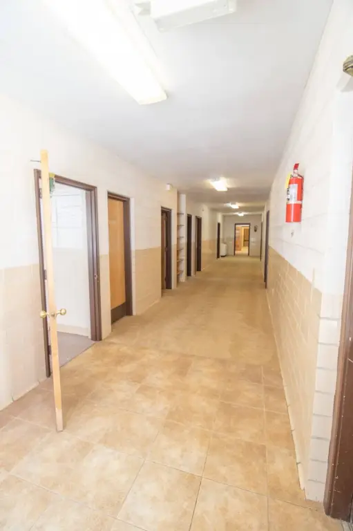 Picture 7