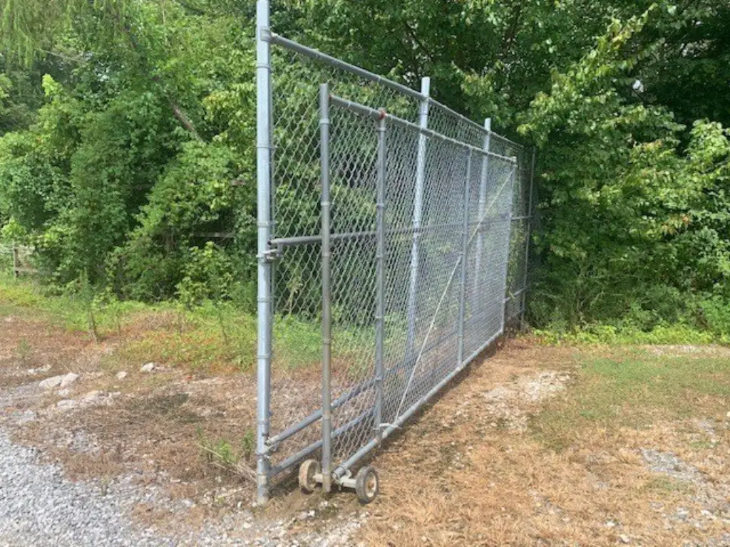 Picture 11