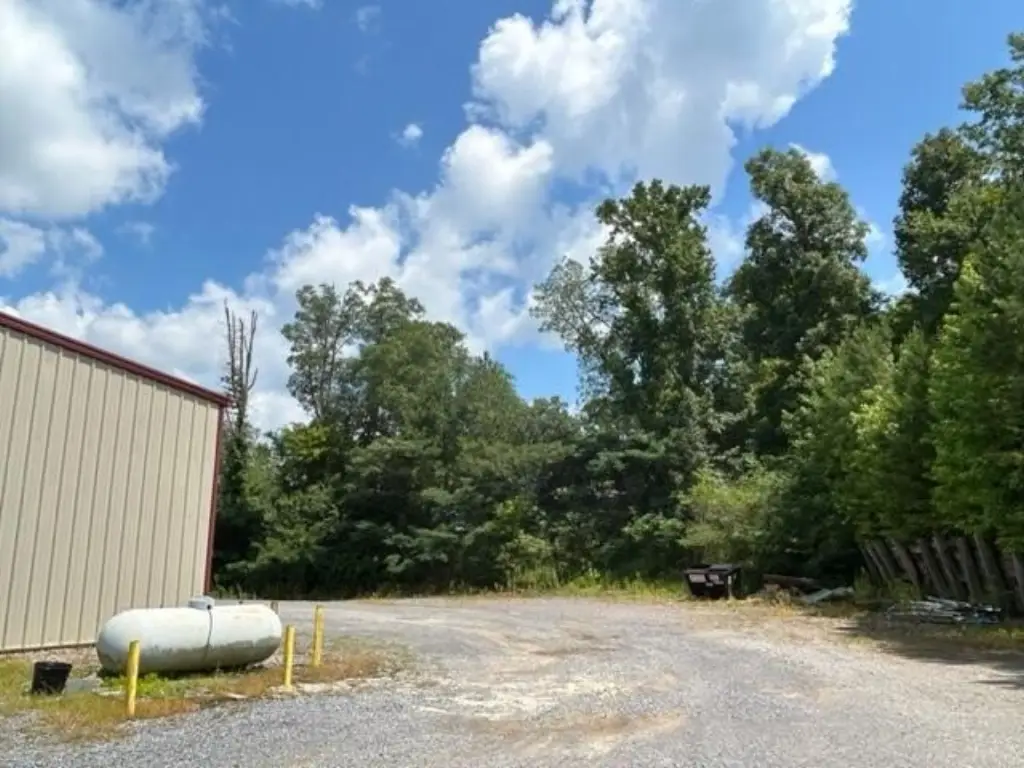 Picture 15