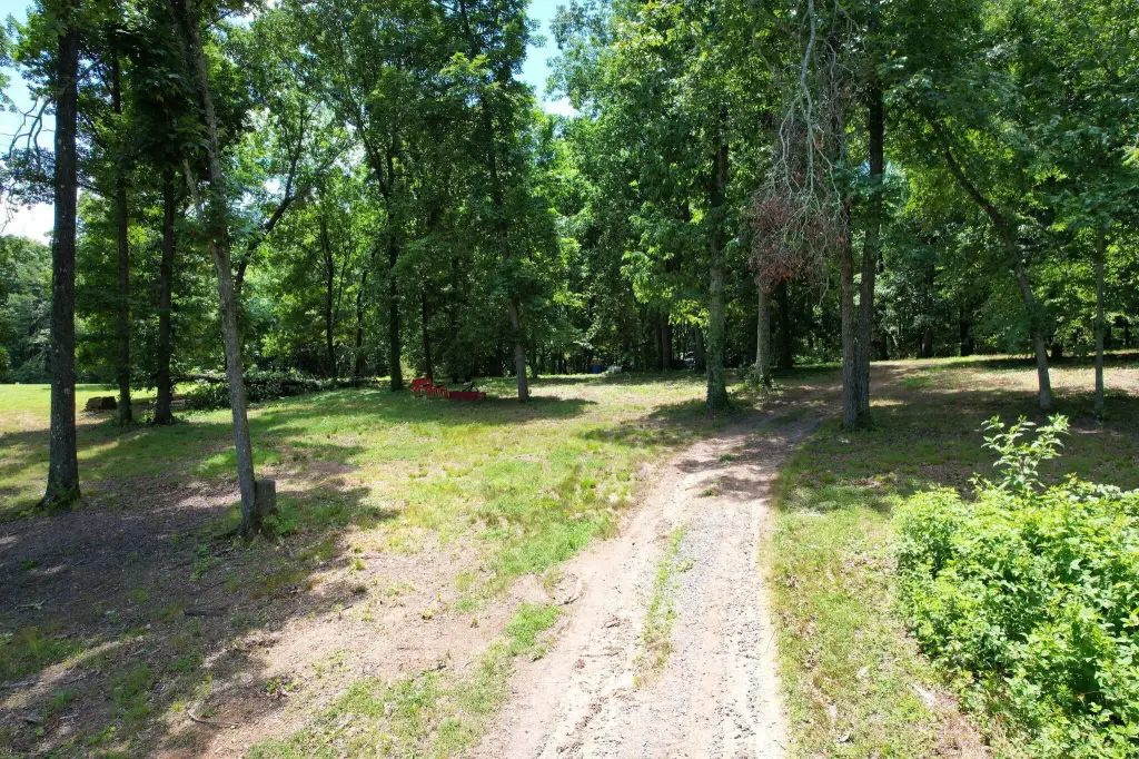 Picture 14