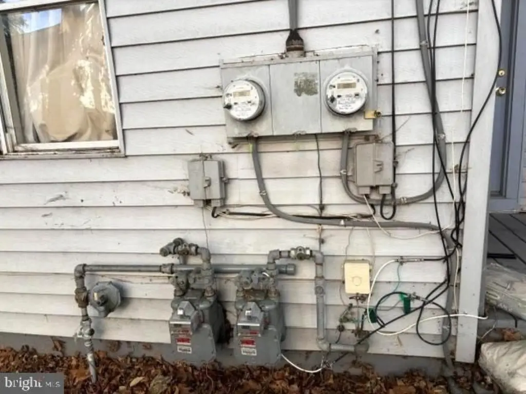 Picture 5
