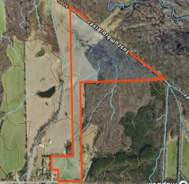 80 Acres in Alcorn County