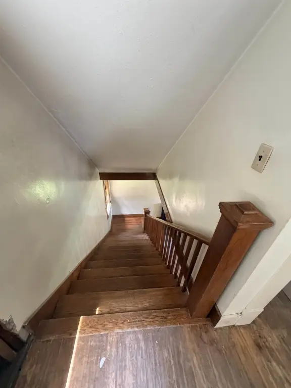 Picture 11