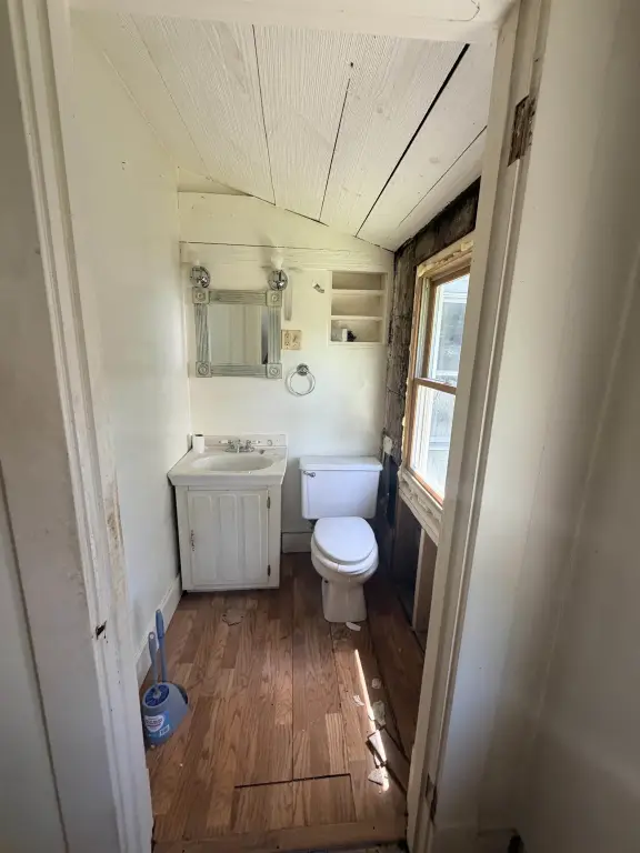 Picture 19