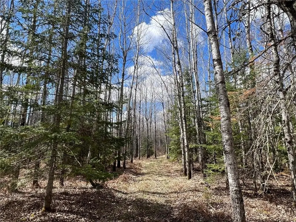Picture 19
